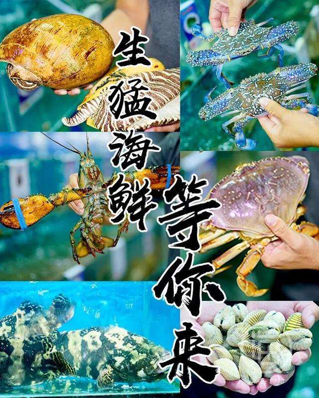 中國(guó)大部分的海鮮都是從代發(fā)貨這里批發(fā)？