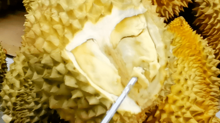水果店老板賣榴蓮時(shí)，就靠這幾種方法進(jìn)貨，一挑一個(gè)準(zhǔn)，很少賠錢