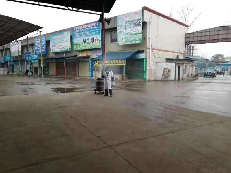 附近鴨苗批發(fā)市場（附近有鴨苗出售嗎）