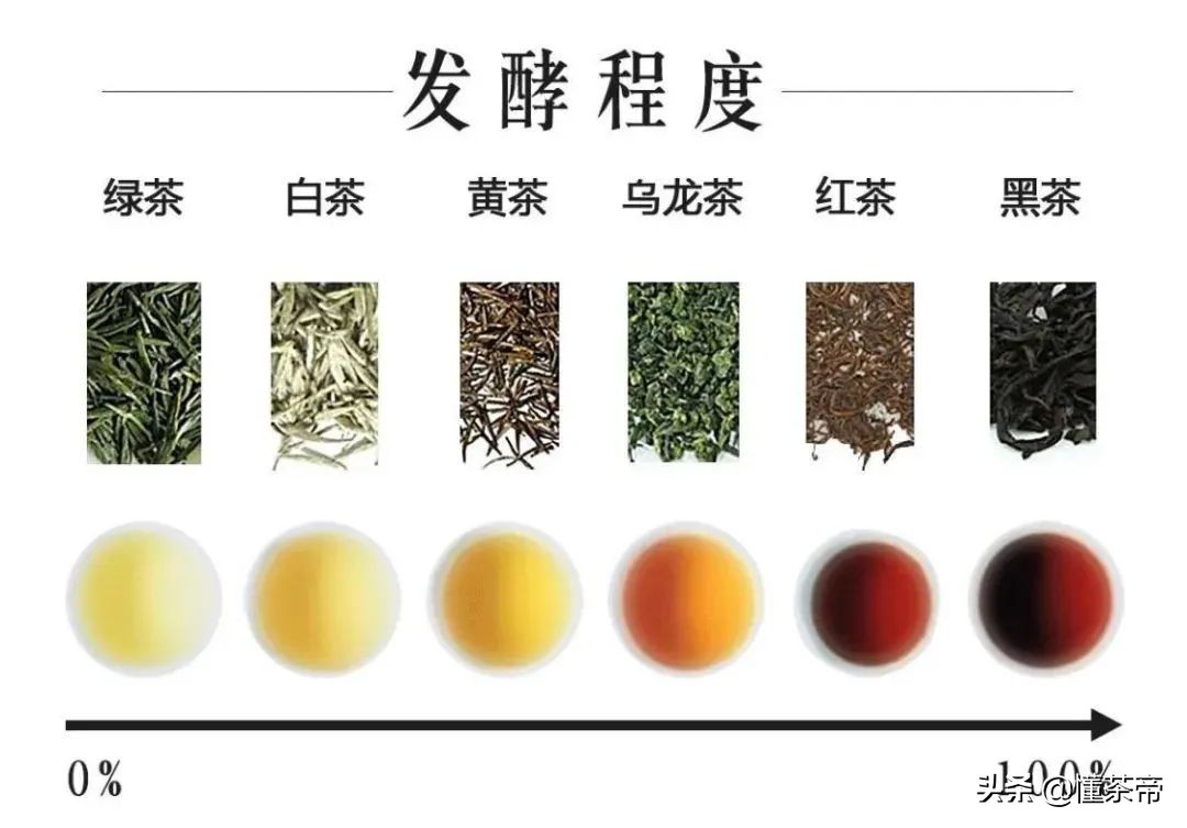 中國名茶有哪些？中國有哪些有名的茶品種？