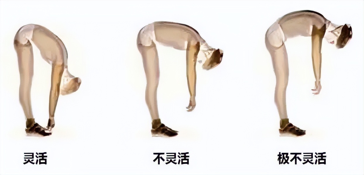 最簡單的長壽動作（有助于長壽的簡單動作）