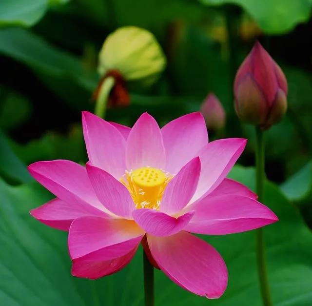 如何做一個(gè)情緒穩(wěn)定的人