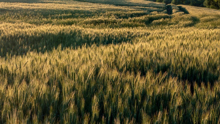 自媒體新手怎么運(yùn)營？這4種方法一定對(duì)你有用