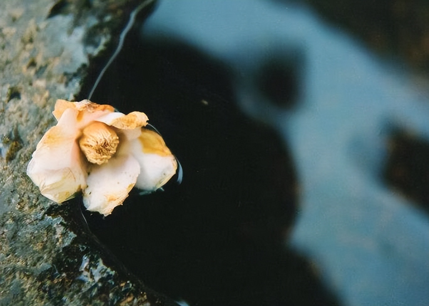 真正會(huì)說(shuō)話的人，懂得以下8種交流技巧