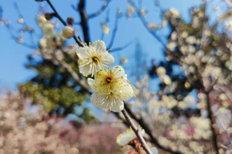 讓你脫穎而出的5種實(shí)用型工作匯報(bào)技巧