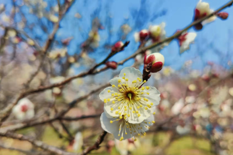 讓你脫穎而出的5種實(shí)用型工作匯報(bào)技巧