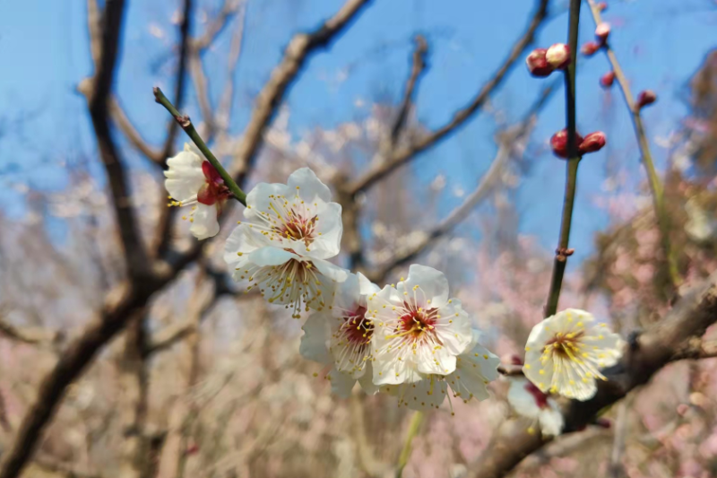 讓你脫穎而出的5種實(shí)用型工作匯報(bào)技巧