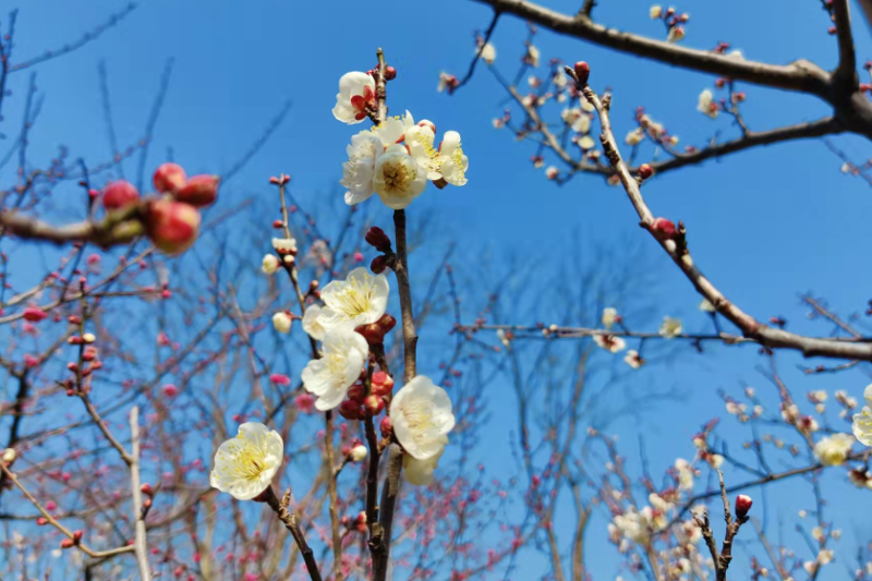 讓你脫穎而出的5種實(shí)用型工作匯報(bào)技巧