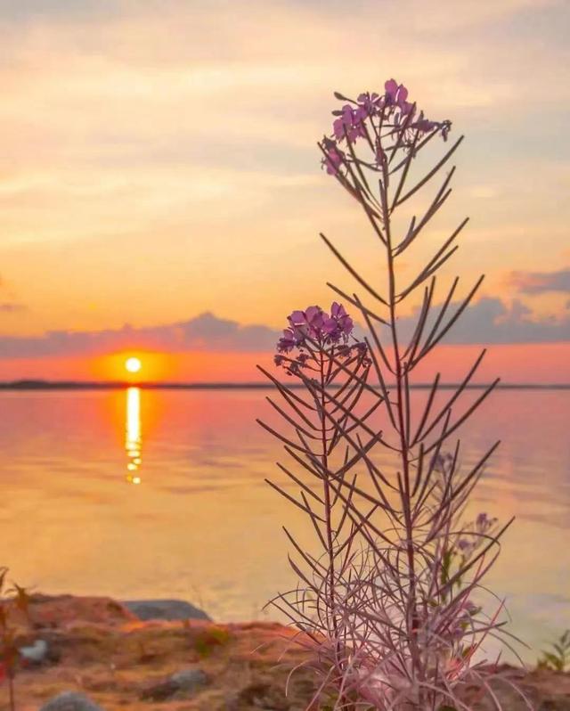 才子情感課堂（才子男裝）