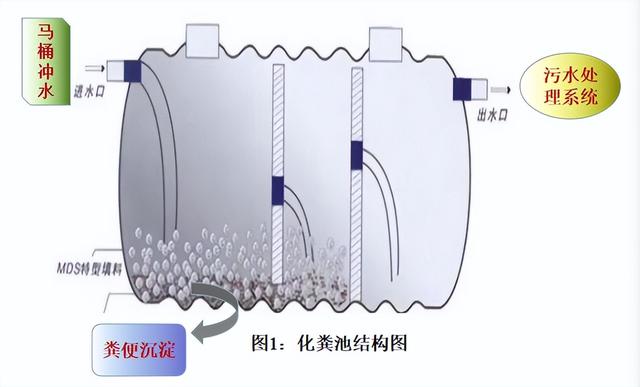 胰酪大豆胨怎么讀，胨怎么讀音？