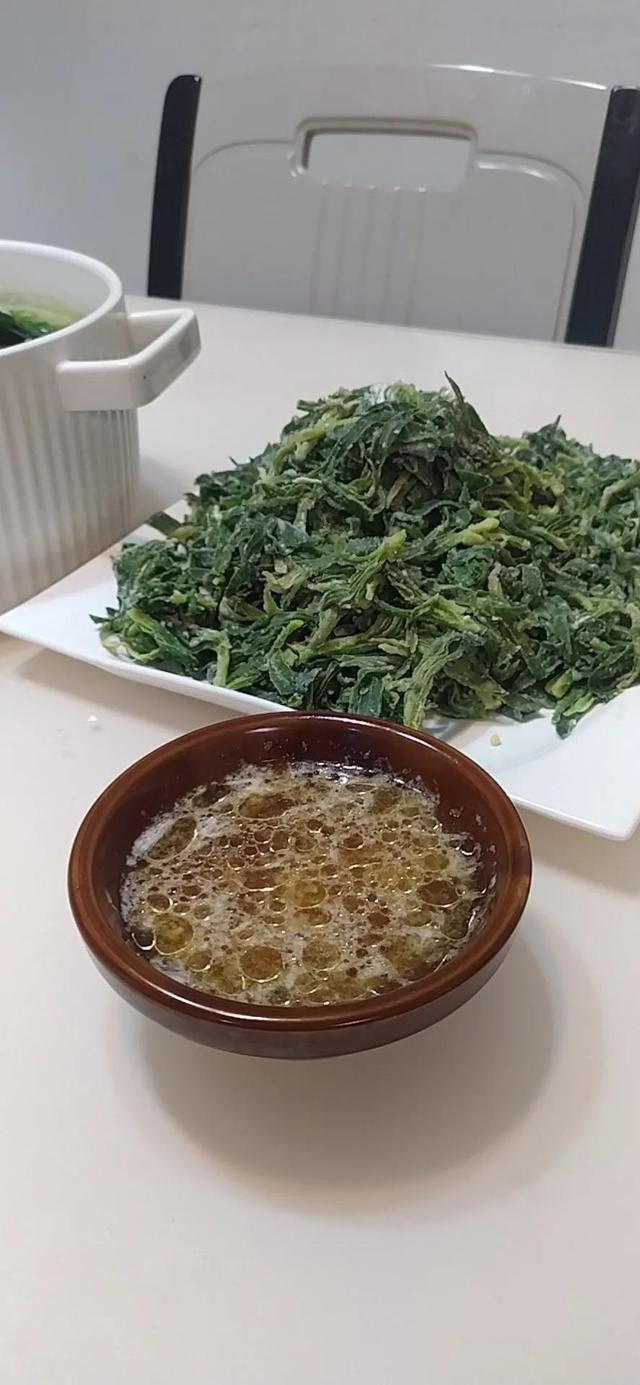 面條菜學(xué)名叫什么，面條菜的功效與作用及禁忌？