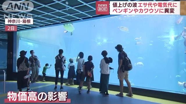 日生高級水族箱，日升水族箱廠家官網(wǎng)？