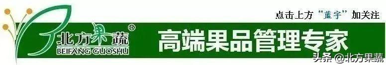 果樹苗批發(fā)基地三年苗各種苗大全價格，哪里有果樹苗批發(fā)基地？