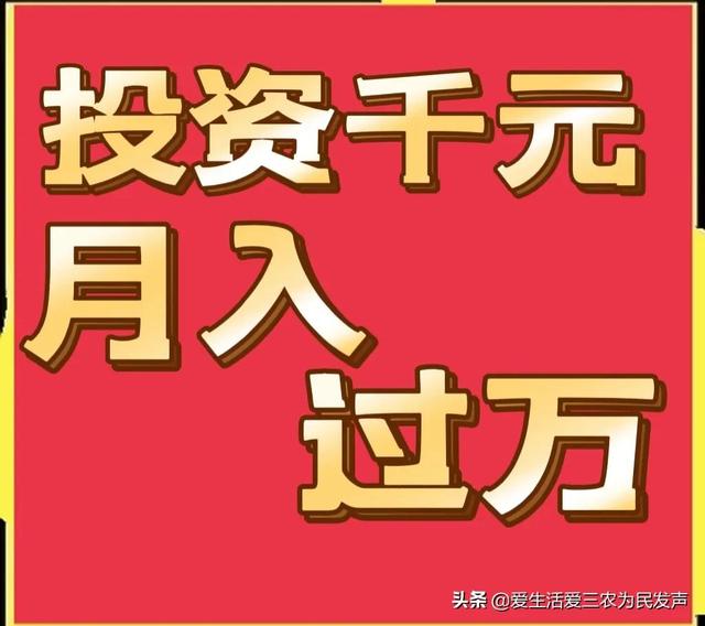 跑江湖地攤新產(chǎn)品，跑江湖地攤新產(chǎn)品怎么做