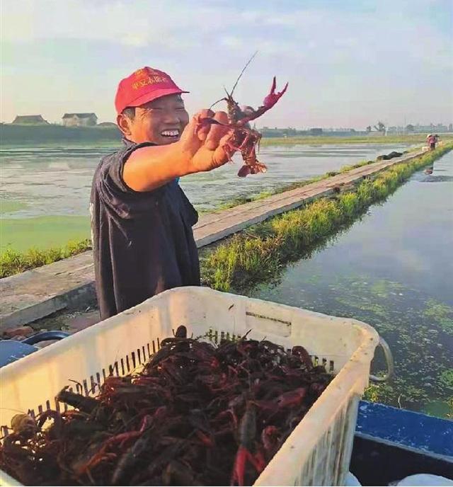 在家做手工貨源從哪找許昌有沒有，許昌手工活外發(fā)_廠家怎么找