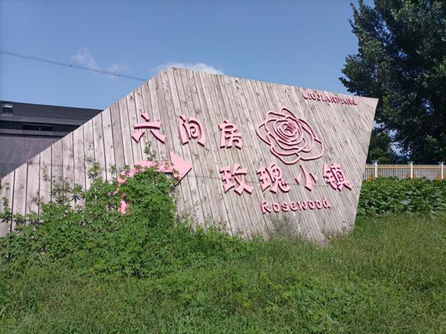 沈陽花卉批發(fā)基地在哪里，沈陽花卉批發(fā)基地在哪里??？