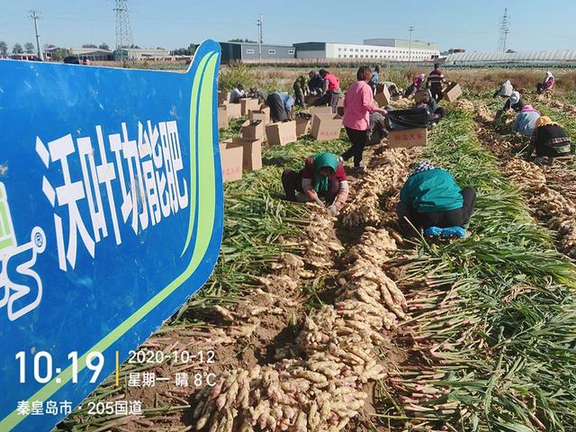 南寧肥料批發(fā)市場，南寧肥料廠家？