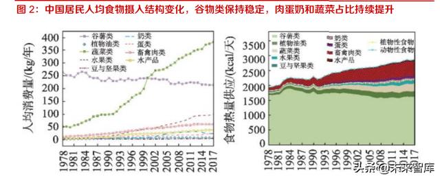 長(zhǎng)沙凍貨批發(fā)市場(chǎng)進(jìn)貨渠道，長(zhǎng)沙凍貨批發(fā)市場(chǎng)進(jìn)貨渠道有哪些？