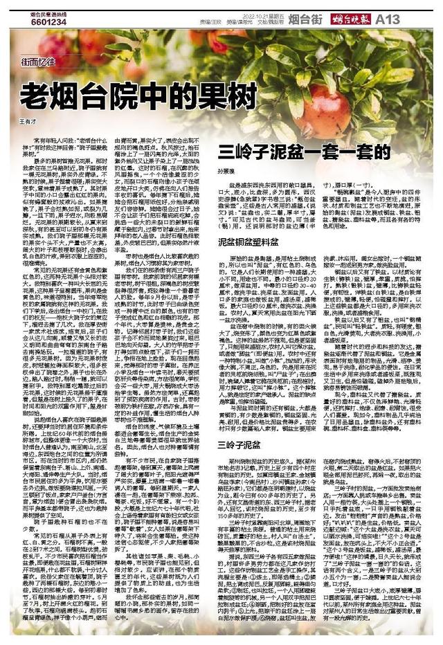 花盆批發(fā)哪里最便宜，盆栽花卉基地批發(fā)哪里最便宜？