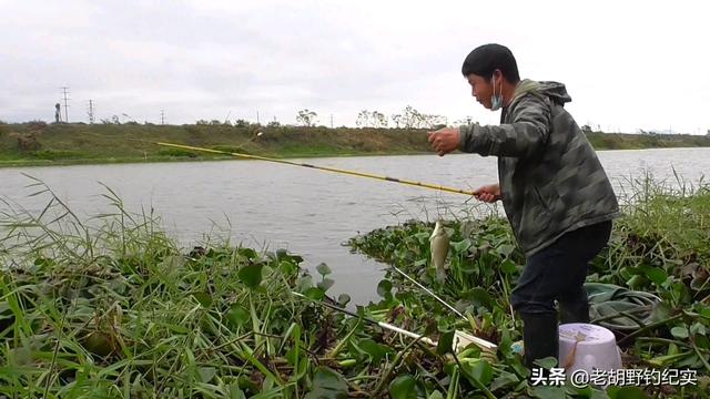 草花批發(fā)市場(chǎng)進(jìn)貨渠道，北京批發(fā)水草市場(chǎng)？