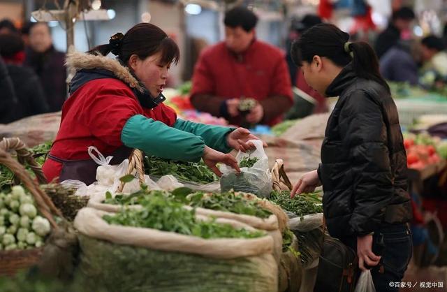 菜市場(chǎng)賣菜一天能賺多少錢，賣什么青菜掙錢？