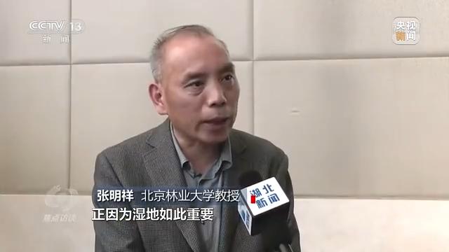 日本批發(fā)網(wǎng)站平臺(tái)，日本批發(fā)網(wǎng)站平臺(tái)有哪些？