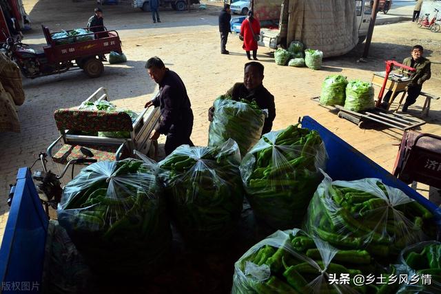 市場賣青菜一天賺多少錢合適，菜市場賣青菜一年能賺多少錢？