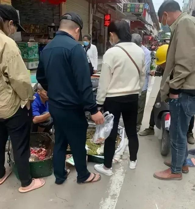 水草批發(fā)市場進貨渠道在哪里，水草商家進貨渠道？