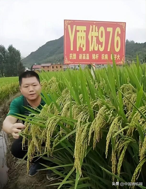 各種貨源批發(fā)網(wǎng)，買賣貨源網(wǎng)？