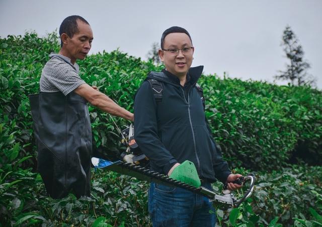 淘寶賣茶葉貨源哪里找，淘寶賣茶葉貨源哪里找的？