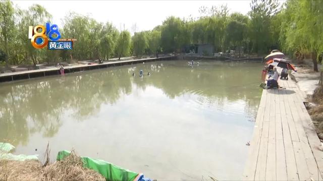 淘寶海帶路亞是正品嗎，淘寶上的貨源？