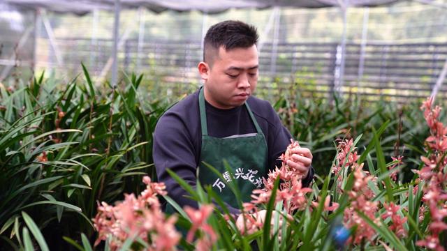 淘寶拼多多熱銷朝蘭貨源拿貨是真的嗎，淘寶拼多多熱銷朝蘭貨源拿貨是真的嗎安全嗎？