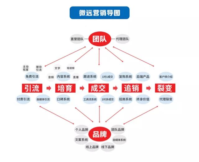 微商正規(guī)膏藥都有哪家，微商正規(guī)膏藥都有哪家店？