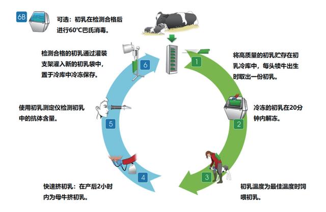 淘寶拼多多熱銷犢牛服貨源拿貨是真的嗎可信嗎，淘寶上賣牛犢是真的嗎？