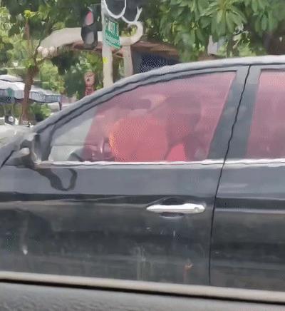 淘寶拼多多熱銷葵扇子貨源拿貨是真的嗎，葵扇子多少錢一斤？